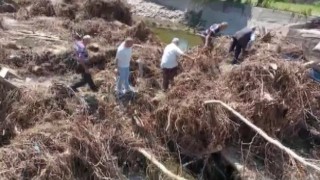 Köprüsü yıkılan köylüler, ağaç köklerinden yaptıkları patika yol ile karşıya geçiyor