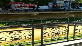 Korkuluklardaki yılan paniğe yol açtı