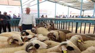 Küçükbaş yetiştiricisine yıkıma makinesi desteği