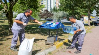 Küçükçekmecede hayvan dostu belediyecilik