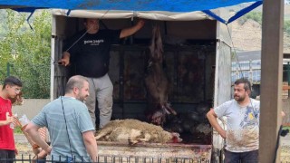 Kurbanını kimi kamyon kasasında, kimi ağaçlık alanda kesti