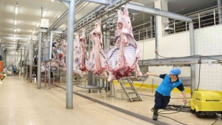 Kurbanlar modern teknik ekipmanlarla kesiliyor