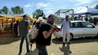 Kurbanlık koyunu çocuğu gibi sırtında taşıdı