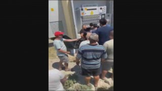 Kuşadasında sık sık elektrik kesintisine neden olan hırsız fare böyle yakalandı