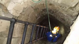 Kuyuda mahsur kalan tilki ekiplerin ortak çalışmasıyla kurtarıldı