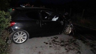 Mahalleyi elektriksiz bırakan kaza