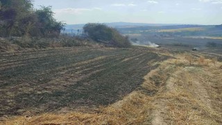Malkarada 380 dönüm buğday tarlası kül oldu