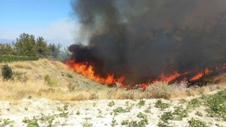 Manisa Büyükşehir İtfaiyesi Gördes yangını için seferber oldu