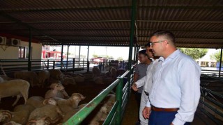 Manisada kurban satış noktalarında ilaçlama çalışması
