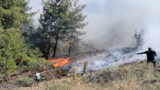 Manisadaki orman yangınında ekip sayısı artırılıyor