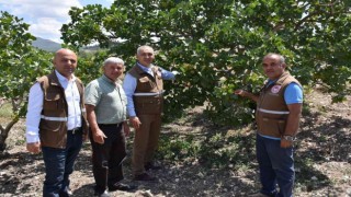 Menengiçten Antep Fıstığına Giden Yol Selendiden geçiyor