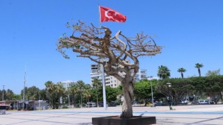 Mersin Büyükşehir Belediyesinden ağaç açıklaması