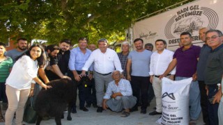 Mersinde 13 üreticiye 325 küçükbaş hayvan dağıtıldı