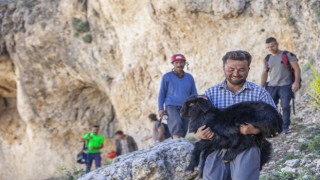 Mersinde 15 metrelik obruğa düşen keçiyi itfaiye kurtardı