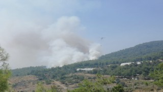 Mersinde orman yangınına 2 uçak ve 5 helikopterle müdahale ediliyor