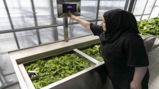 Mersinde sebze ve meyveler güneş enerjisi ile kurutuluyor