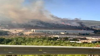 Mersindeki orman yangını kontrol altına alındı