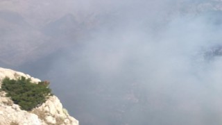 Mersindeki orman yangını kontrol altına alınmaya çalışılıyor
