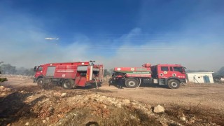 Milastaki orman yangını kontrol altına alındı