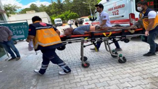 Mısır tarlasına giren boğanın boynuz darbesiyle hastanelik oldu