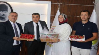 MTB Başkanı Özcan, çilek üreticilerini ödüllendirdi