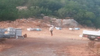 Muğla İl Tarım ve Orman Müdürlüğü yangın bölgesinde