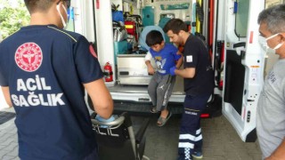 Muğlada çocuğa köpek saldırısı