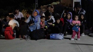 Muğlada çok sayıda düzensiz göçmen yakalandı