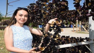 Nazilliden dünyaya doğal lezzet: Kurutulmuş patlıcan