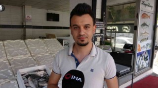 Nesli tükenme tehlikesinde olan Fırat kaplumbağası balıkçı oltasına takıldı