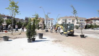 Nevşehirde parklar ağaçlandırılıyor