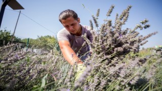 Nilüferin Tıbbi-Aromatik Bitki İşleme Tesisi Projesine BEBKAdan hibe