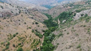 Ölbe vadisi ve Deve Mağarası turizme kazandırılmayı bekliyor