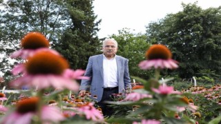 Ordu, tıbbi ve aromatik bitki üretimine göz kırpıyor
