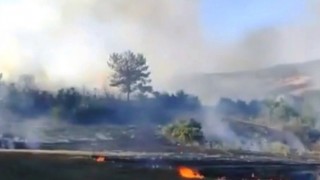 Osmaniye’de orman yangını, 2 dekarlık alan zarar gördü
