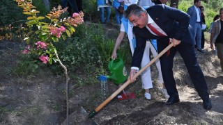 Osmaniye'de Şehitler hatıra ormanı yeni fidanlarla buluştu