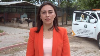 Osmaniye’de, sokak hayvanları için 24 saat klinik hizmeti veriliyor