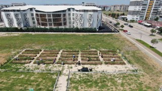 (Özel) Bursada milyonluk evlerin arasında tarımla uğraşıyorlar