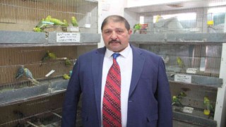 Petshoplar Kasaplar Odasına bağlandı