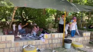 Piknik alanlarında hafta sonu yoğunluğu