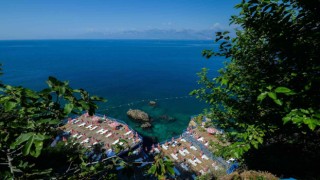 Plajlara anlık doluluk oranını gösteren yazılım
