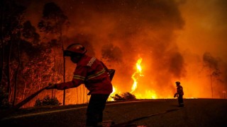 Portekizde 14 noktada orman yangını