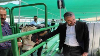 Pursaklar Belediye Başkanı Çetin: “Bu tesis bir günde 500 büyükbaş hayvan kesme kapasitesine sahip”