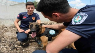 Sabotajcıların korkulu rüyası ‘Tarzan göreve hazır