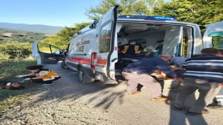 Sakaryada otomobil fındık bahçesine uçtu: 2 yaralı