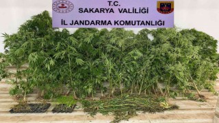 Sakaryada uyuşturucu operasyonu: 2 gözaltı