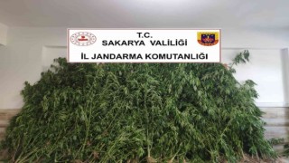 Sakaryada uyuşturucu operasyonu: Baba ve oğlu gözaltına alındı