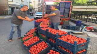 Salçalık domates fiyatları el yakıyor