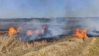 Saman balyaları alev aldı, ormanlık alana sıçramadan söndürüldü