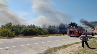 Saman yüklü tır alev aldı, yangın ormanlık alana sıçradı
